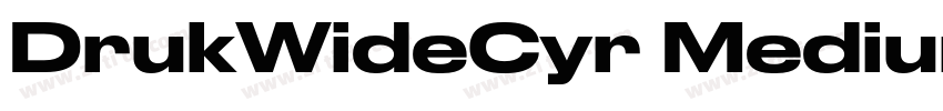 DrukWideCyr Medium字体转换